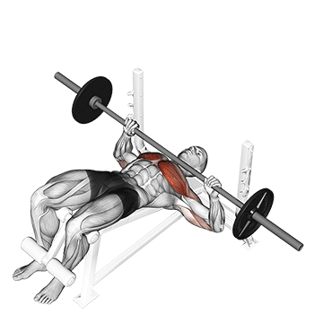 Decline Barbell Bench Press