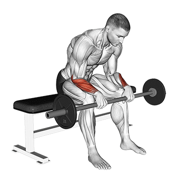 Barbell Revers Wrist Curl (VERSION 2)