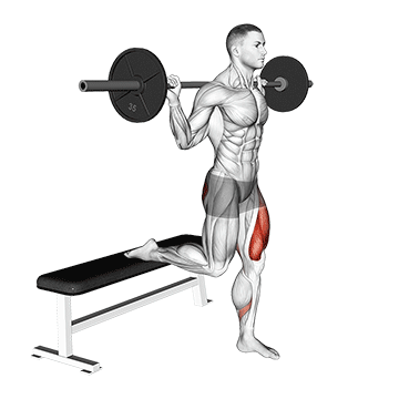 Barbell Single Leg Split Squat