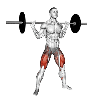 Barbell Wide Squat