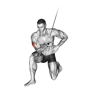 Cable Concentration Extension (on knee)