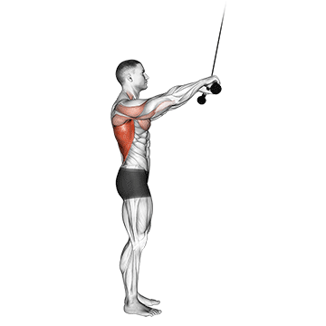 Cable Pushdown (straight arm) (VERSION 2)