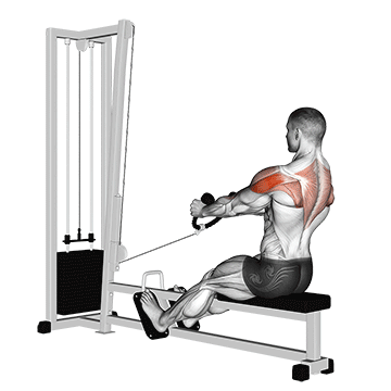 Cable Rear Delt Row