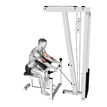 Cable Reverse Preacher Curl