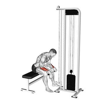 Cable Reverse Wrist Curl