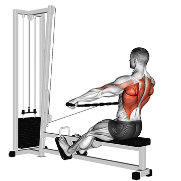 Cable Seated Wide grip Row