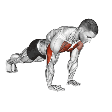 Close Grip Push Up