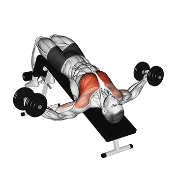 Decline Dumbbell Fly