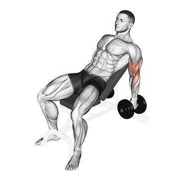 Dumbbell Incline Hammer Curl