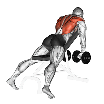 Dumbbell Row