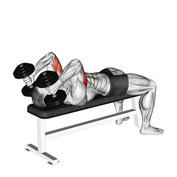 Lying Triceps Extension