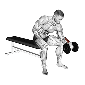 Dumbbell One-Arm Reverse Wrist Curl