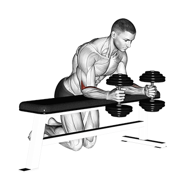 Dumbbell Over-Bench Neutral Wrist Curl