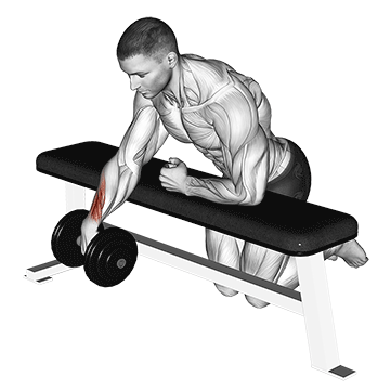 Dumbbell Over-Bench One-Arm Wrist Curl