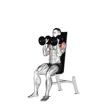 Dumbbell Seated Shoulder Press