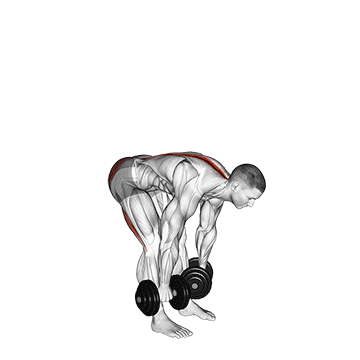 Dumbbell Straight-Leg Deadlift
