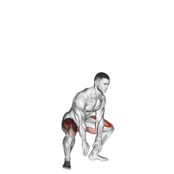 Jump Squat (VERSION 2)