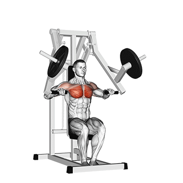 Lever Chest Press (plate loaded)