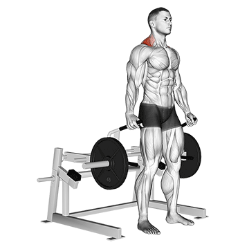 Lever Shrug (plate loaded)