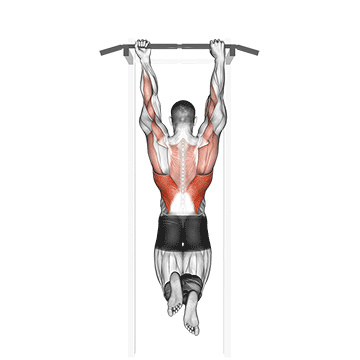 Mixed Grip Chin up