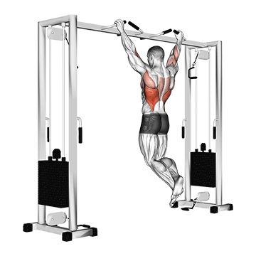 Neutral-Grip Pull-Up
