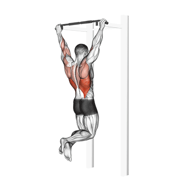 Pull-Up