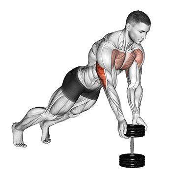 Push-Up Close Grip off Dumbbell