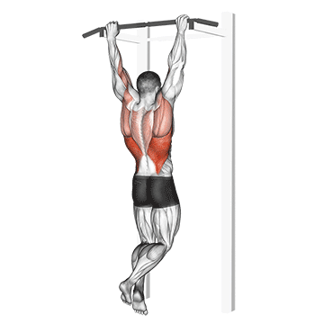 Rocky Pull Up Pulldown