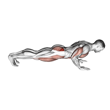 Spider Crawl Push up