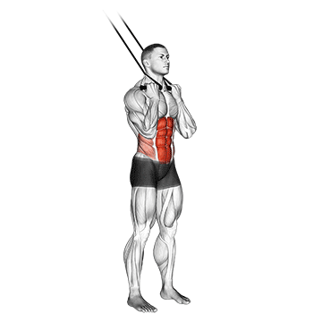 Band standing crunch