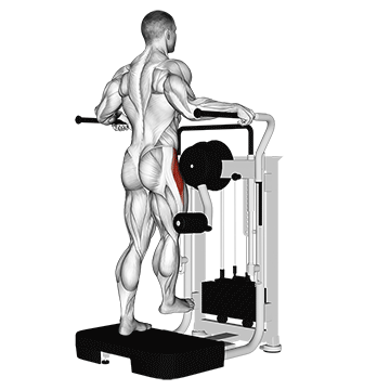 Lever Side Hip Abduction