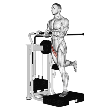 Lever Standing Leg Raise