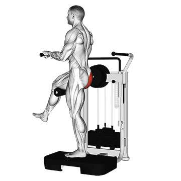 Lever Standing Rear Kick