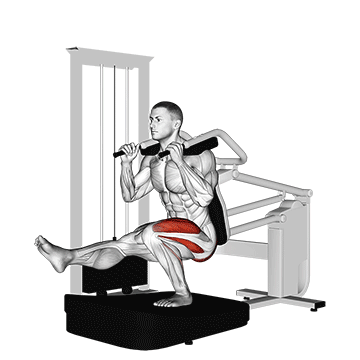 Lever Pistol Squat