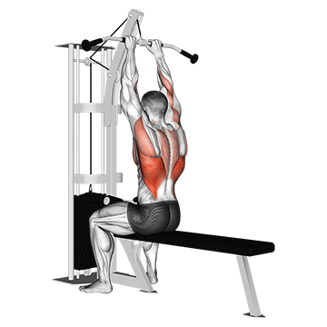 Cable Close Grip Front Lat Pulldown