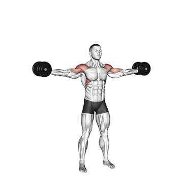 Dumbbell Straight-Arm Bicep Swing