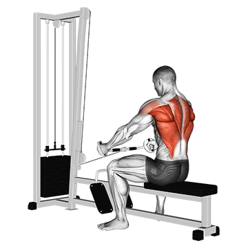 Cable Seated Row (Bent bar)