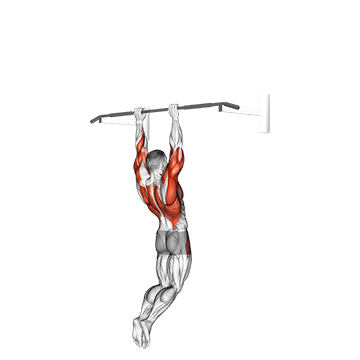 Muscle up (on vertical bar)