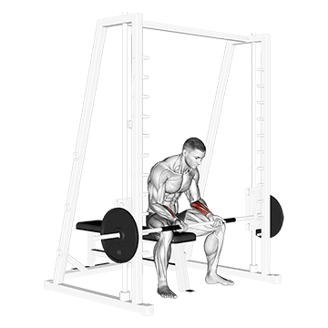 Smith Machine Seated Wrist Curl