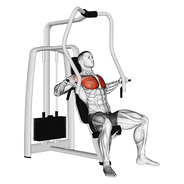Machine Chest Press