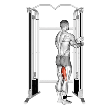 Standing Leg Curl