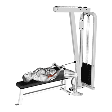 Cable Lying Bicep Curl