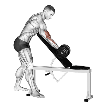 Dumbbell One-Arm Zottman Preacher Curl