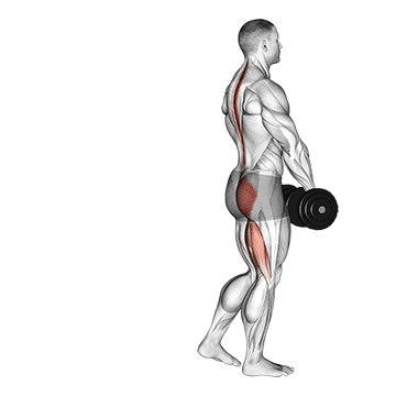 Single-Leg RDL