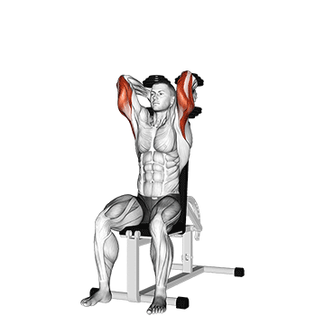 Dumbbell Seated Triceps Extension