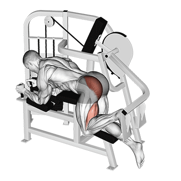 Lever Hip Extension (VERSION 2)