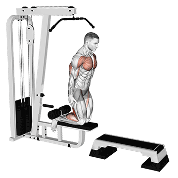 Inverse Leg Curl (on pull up cable machine)