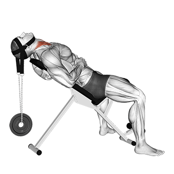 Weighted Lying Neck Flexion (with head harness)