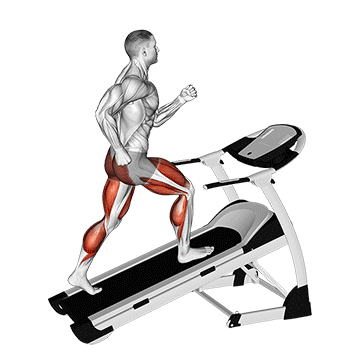 Walking on Incline Treadmill