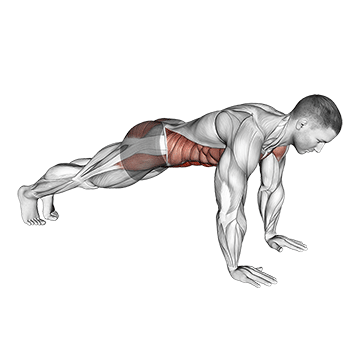 Plank on Hands